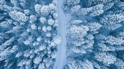 Aerial view of snow-covered coniferous trees. Image courtesy Pexels.